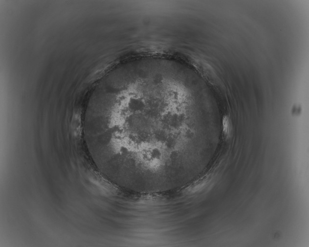 X0000090721203200708031453