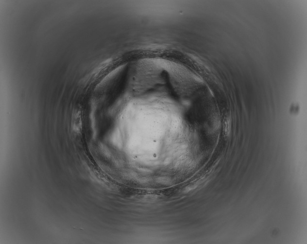 X0000090721204200708031453