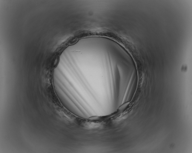 X0000090721205200708031453