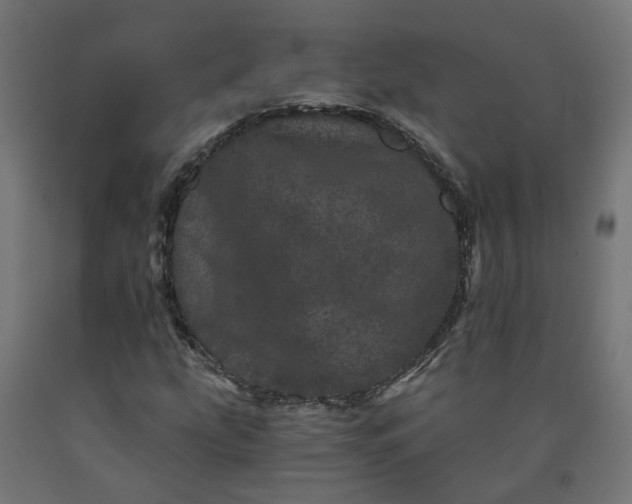 X0000090721207200708031453