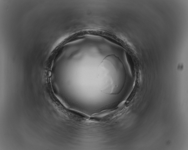X0000090721208200708031453