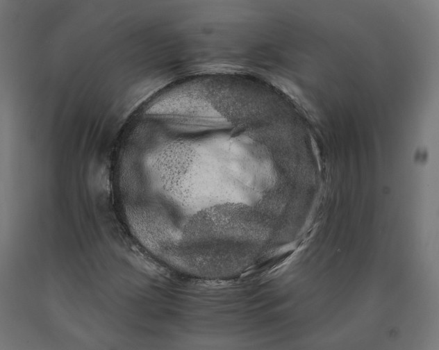 X0000090721209200708031453