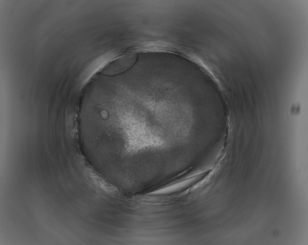 X0000090721211200708031453