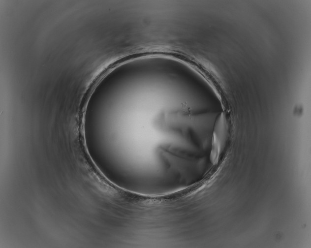 X0000090721212200708031453