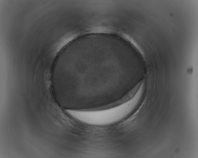 X0000090721213200708031453