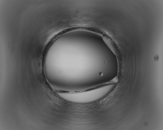 X0000090721214200708031453