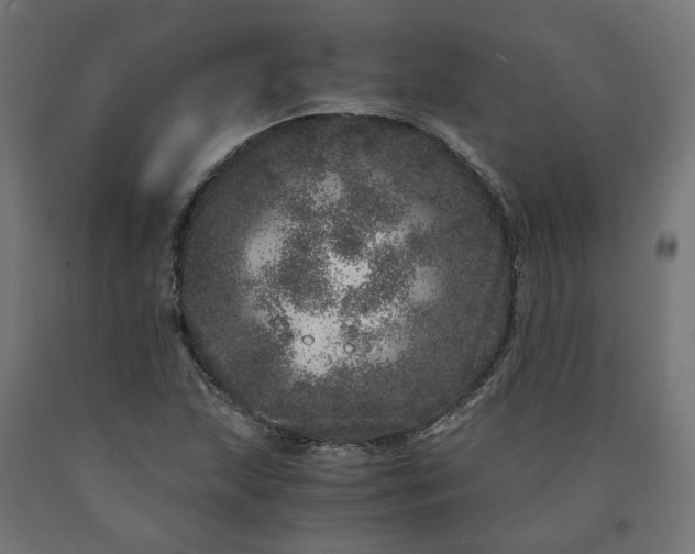 X0000090721215200708031453