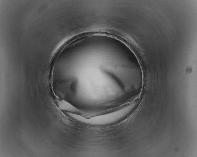 X0000090721216200708031453