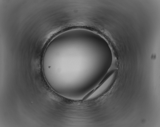 X0000090721218200708031453