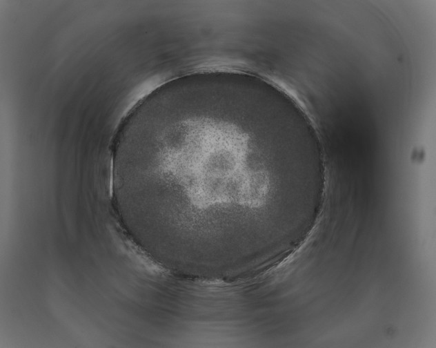 X0000090721219200708031453