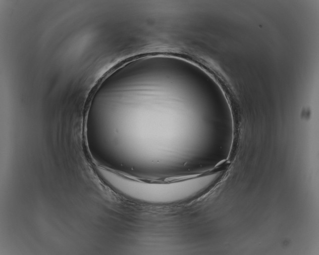 X0000090721220200708031453