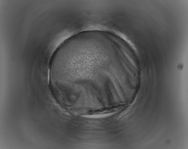 X0000090721221200708031453