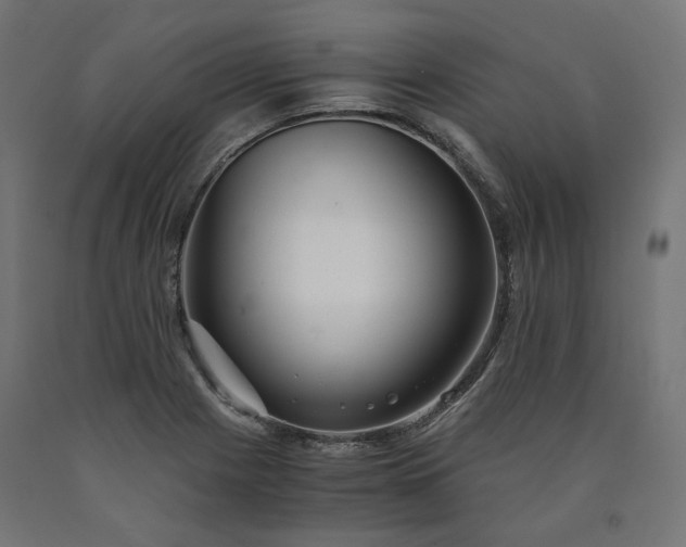 X0000090721225200708031453
