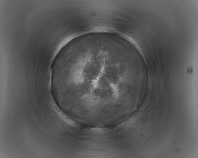 X0000090721227200708031453