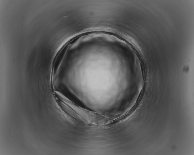 X0000090721228200708031453