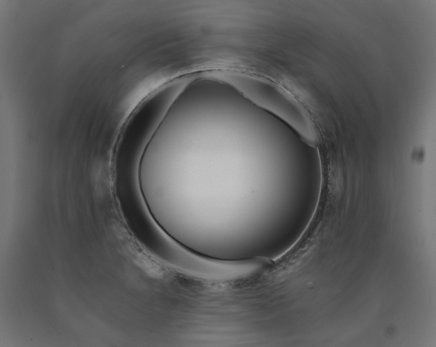 X0000090721230200708031453