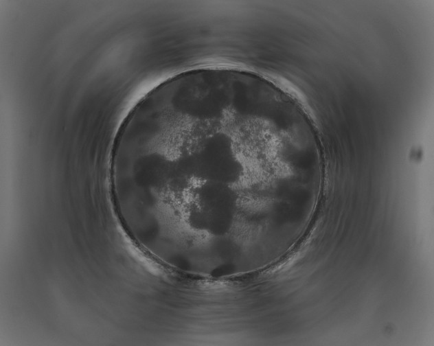 X0000090721231200708031453