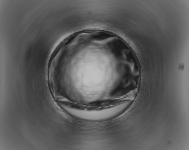 X0000090721232200708031453