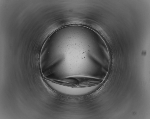 X0000090721233200708031453