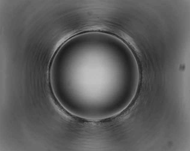 X0000090721234200708031453