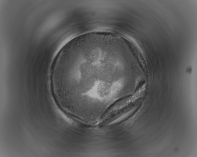 X0000090721235200708031453