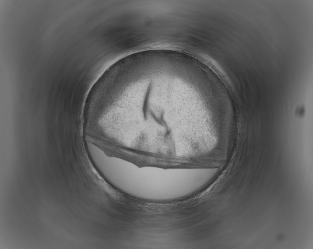 X0000090721236200708031453