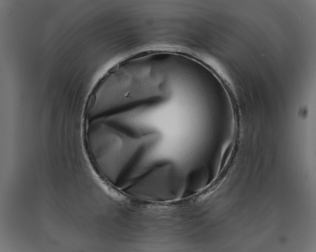 X0000090721237200708031453