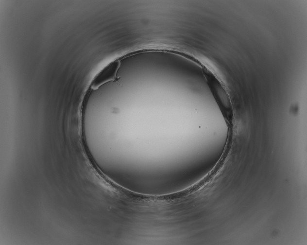 X0000090721238200708031453