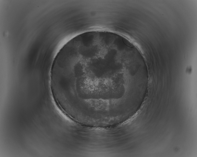 X0000090721239200708031453