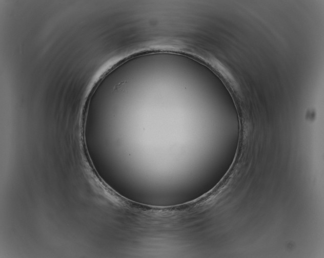 X0000090721240200708031453