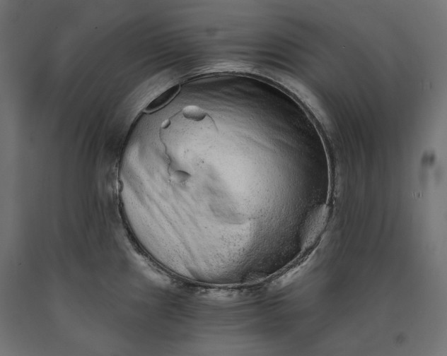 X0000090721241200708031453