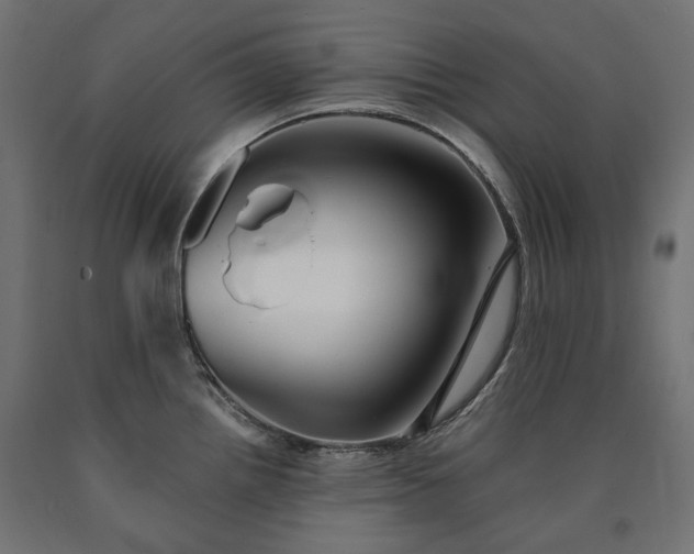 X0000090721242200708031453