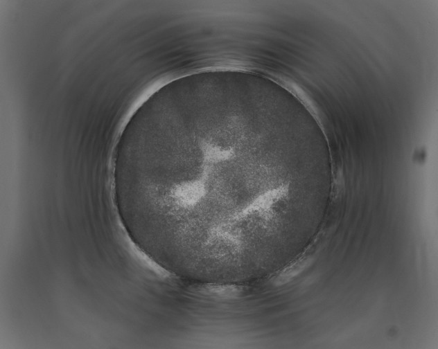 X0000090721243200708031453