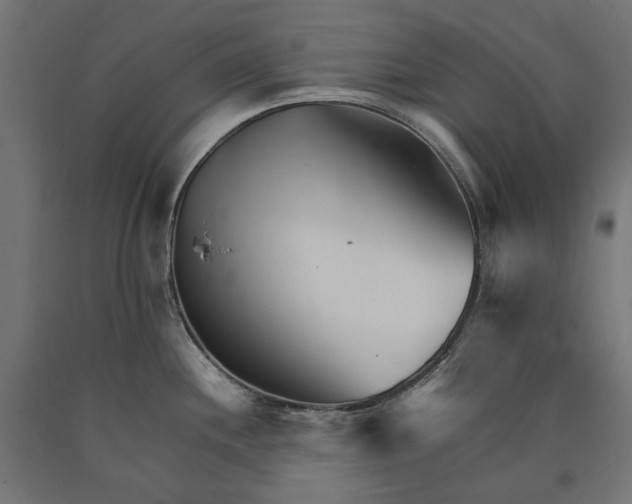 X0000090721244200708031453