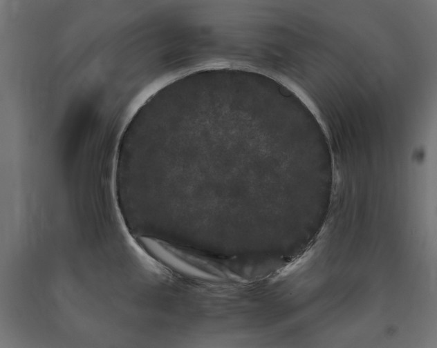 X0000090721245200708031453