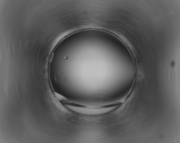 X0000090721246200708031453