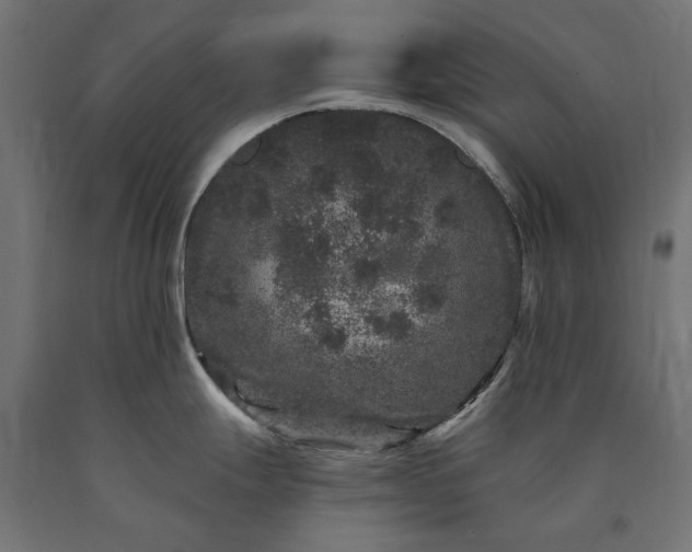 X0000090721247200708031453