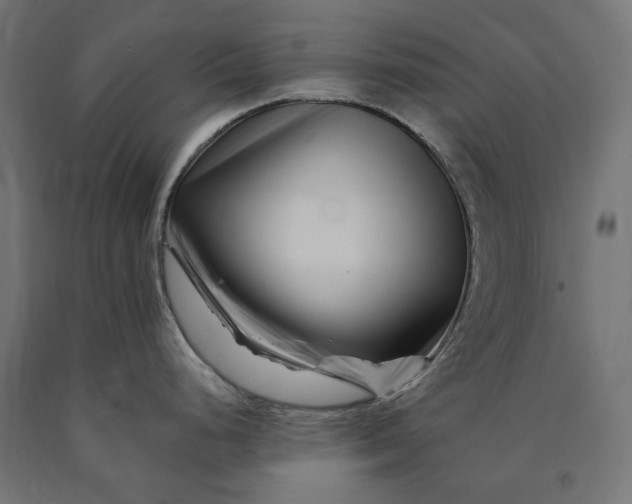 X0000090721248200708031453