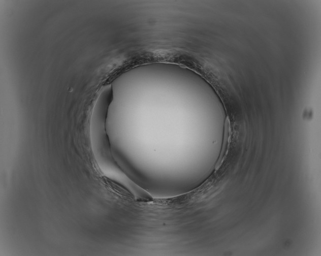 X0000090721249200708031453