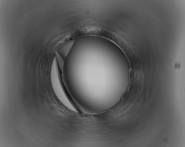 X0000090721250200708031453