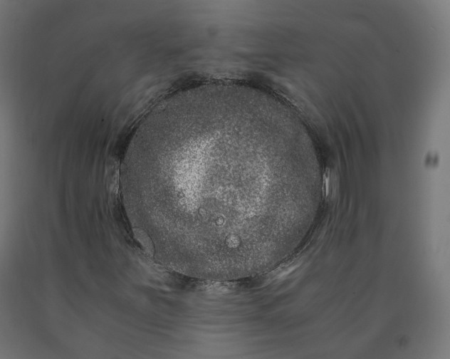 X0000090721251200708031453