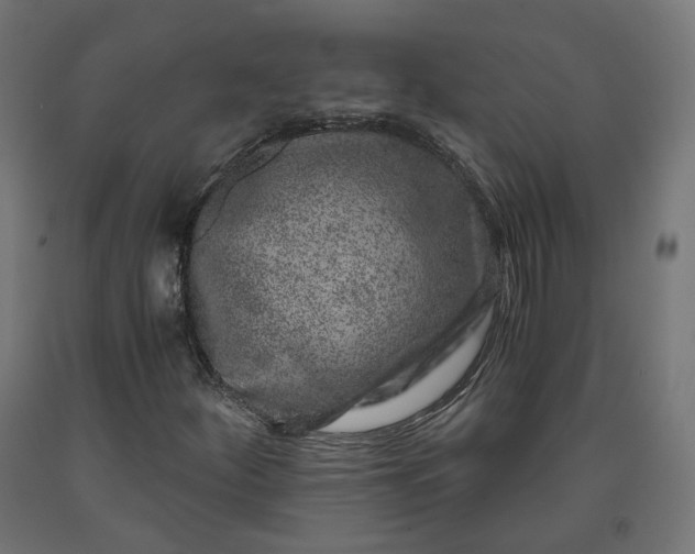 X0000090721252200708031453