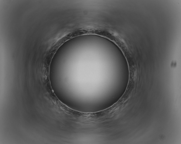 X0000090721253200708031453
