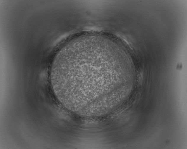X0000090721254200708031453