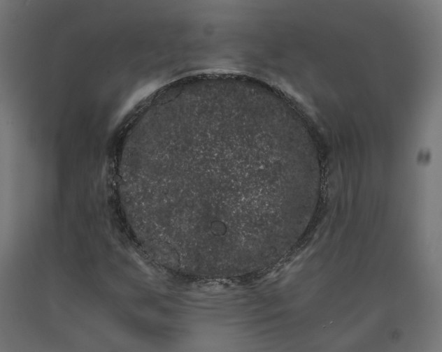 X0000090721255200708031453