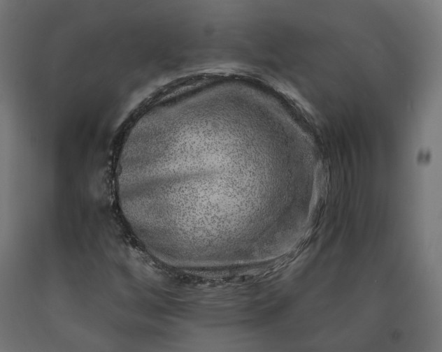X0000090721256200708031453