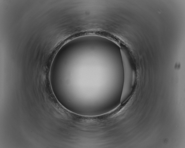 X0000090721257200708031453