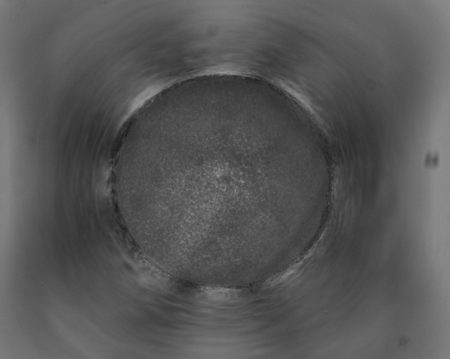 X0000090721258200708031453