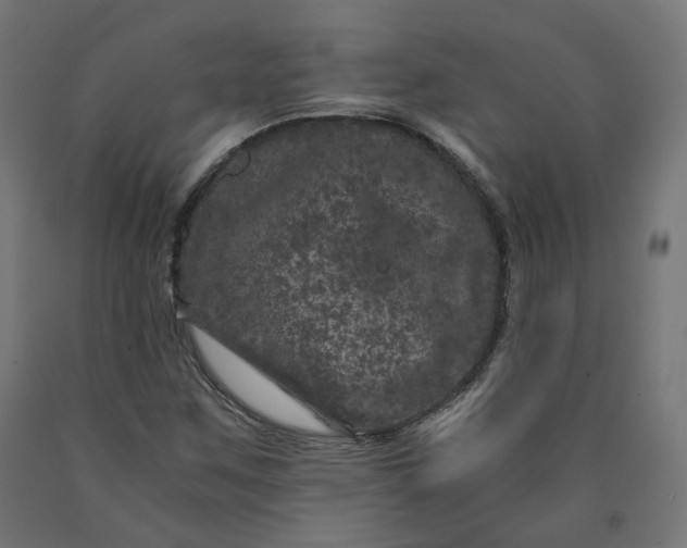 X0000090721259200708031453