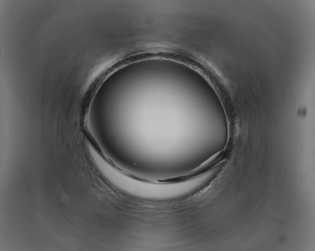 X0000090721261200708031453